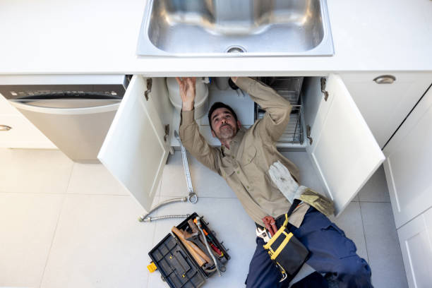 Best Clogged Drain Plumber  in La Grange, KY